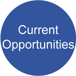 Current Opportunities